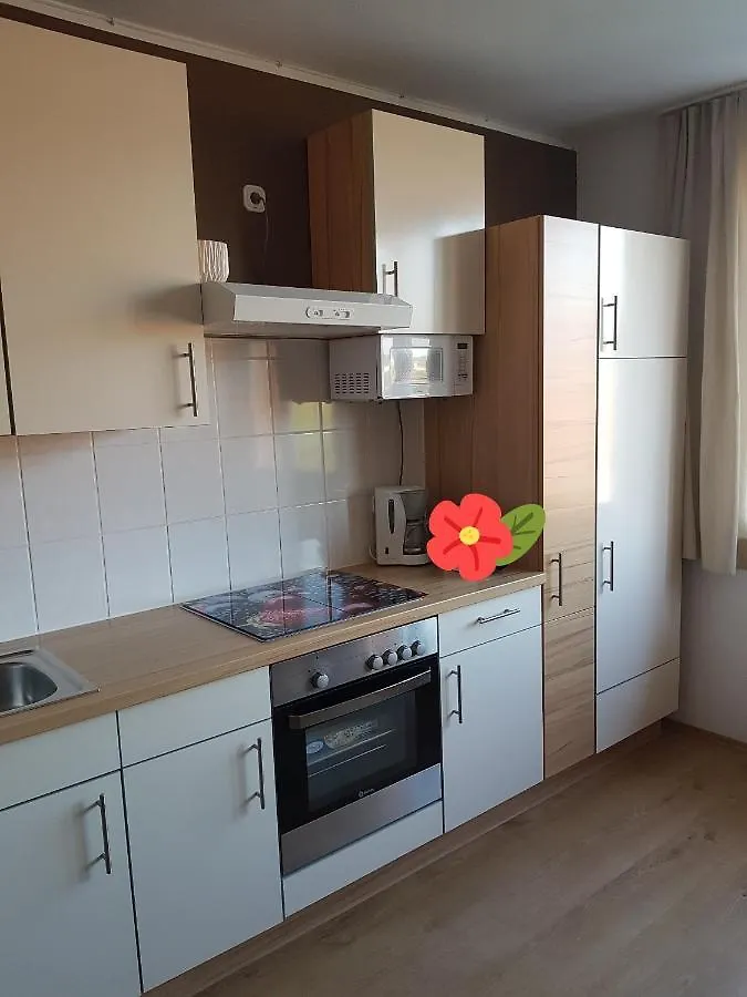 Apartment Graz Murpromenade 奥地利